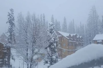 பாகிஸ்தானில் பனிச்சரிவு ; ஒரே குடும்பத்தைச் சேர்ந்த 9 பேர் பலி