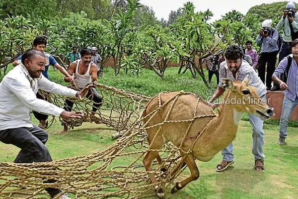20 வருடமாக குளிக்காமல் இருந்து சாதனை செய்த மனிதன் | Not Bathed For 20 Years Has Achieved This Feat