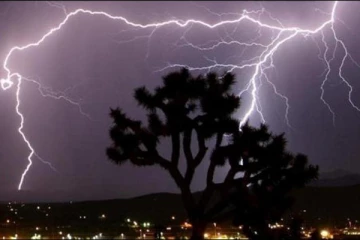 අකුණ සැර ‌දෙදෙනෙකු රෝහලට යවයි. සිදුවු දේ මෙන්න...