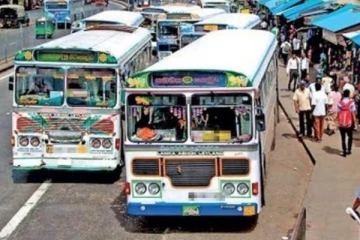 பேருந்து மோதி மூதாட்டி உயிரிழப்பு : சாரதி கைது