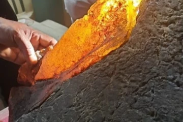 திமிங்கில வாந்திக்கு 30 கோடி வரை விலையா? ஷாக்கில் அதிரகாரிகள்