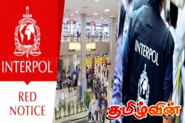 வெளிநாடுகளில் பதுங்கியுள்ள பாதாளக் குழுவினருக்கு வலை! 82 பேருக்கு சிவப்பு பிடியாணை