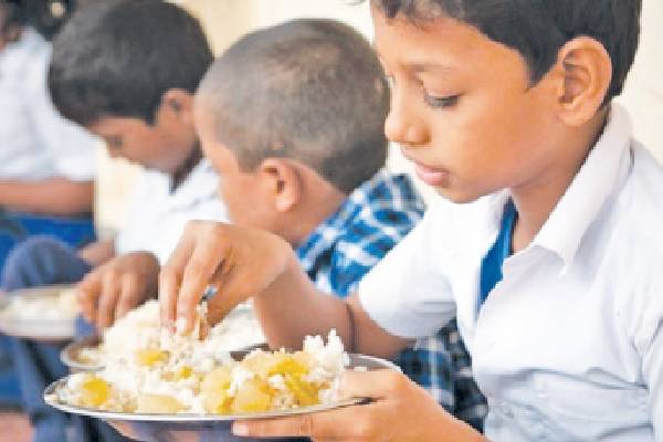முன்பள்ளி ஆசிரியர்களுக்கு முறையான பயிற்சிகளை வழங்க நடவடிக்கை | Provide Proper Training To Pre School Teachers