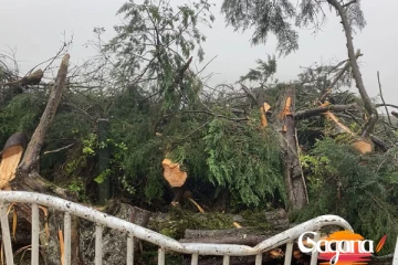 ගස් කඩා වැටී මාර්ග අවහිර වේ