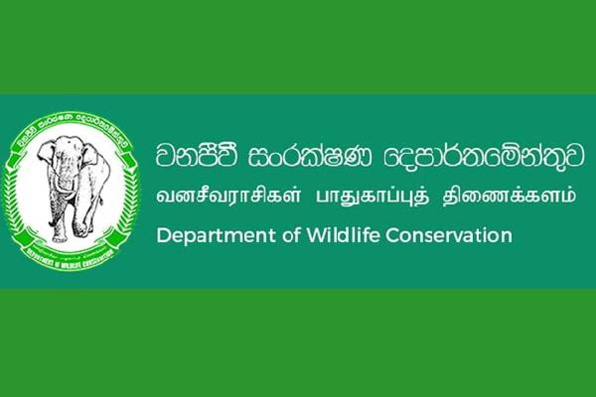 முல்லைத்தீவில் வனவளத்திணைக்களத்தின் ஆக்கிரமிப்பிலுள்ள காணிகள் : ரவிகரன் எம்.பியின் கோரிக்கை | Lands Release In Occupied By Forest Dept Mullai