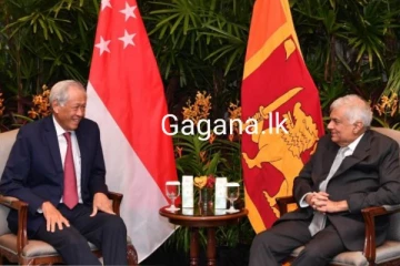 ජනපති රනිල් ශ්‍රී ලංකාව සිංගප්පූරුවක් කරන්න යයි..(PHOTOS)
