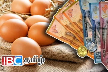 முட்டை விலை குறித்து வெளியான தகவல்