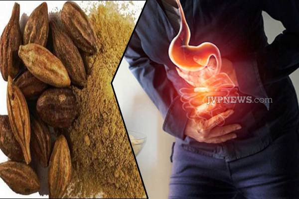 தினமும் இரவில் கடுக்காய் தூள் சாப்பிடுவதால் கிடைக்கும் நன்மைகள் | Benefits Of Consuming Mustard Powder Every Night