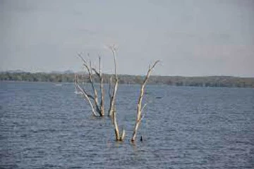 පදවිය වැවෙන් ජලය හොරකම් කල තිදෙනෙක් රිමාන්ඩ් .