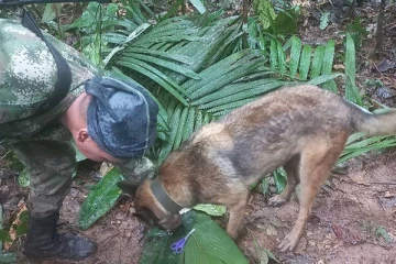 விமானவிபத்து இடம்பெற்று 16 நாட்களின் 11 மாத குழந்தை உட்பட நான்கு சிறுவர்கள் உயிருடன் மீட்பு