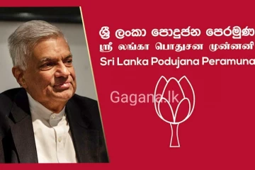 මන්ත‍්‍රීන් 102ක් පොහොට්ටුව අත්හරී?..රනිල්ට සහය දෙන්න තීරණය කරයි..නාමල්ට 15යි..