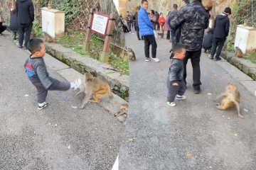 Viral Video: இந்த சின்ன வயசுல எம்புட்டு தைரியம்னு பாருங்க... குரங்கை தலைதெறிக்க ஓட வைத்த சிறுவன்