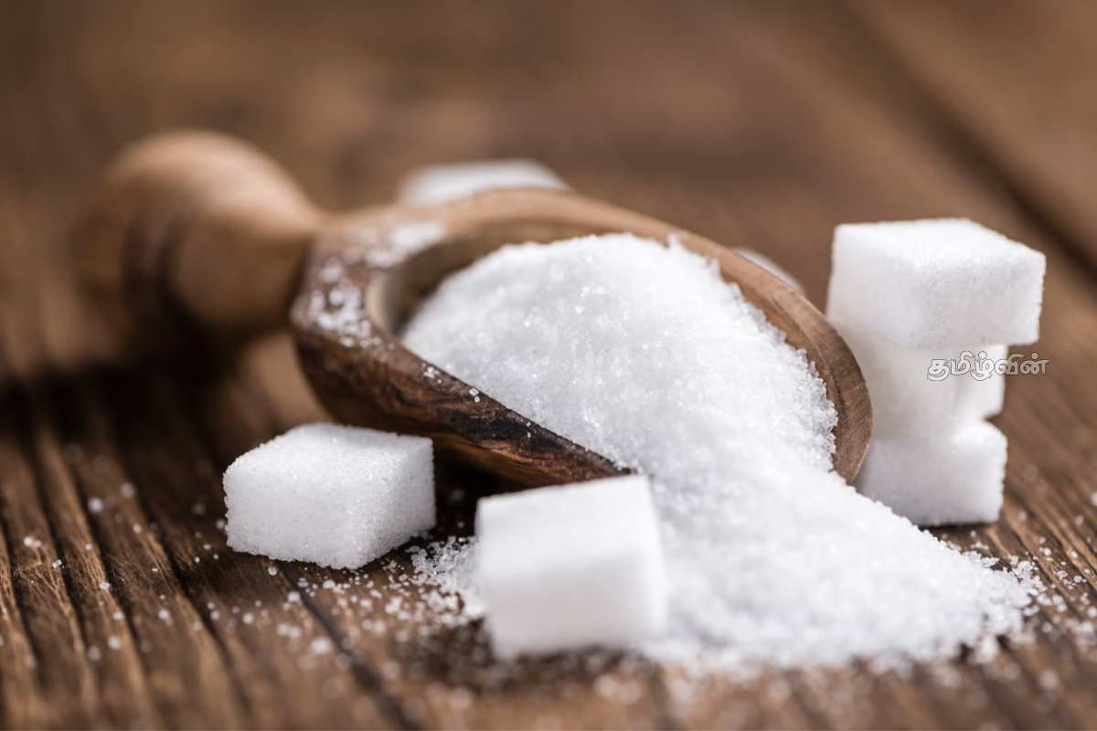 சீனியின் விலையில் ஏற்படக்கூடிய மாற்றம் குறித்து எச்சரிக்கை | Sugar Price May Hike