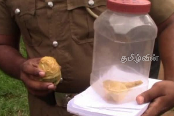மாணவர் ஒருவரின் கையில் சிக்கிய ஆபத்தான பொருள்! அதிர்ஷ்டவசமாக தப்பிய உயிர் | Hand Grenade Found In Forest