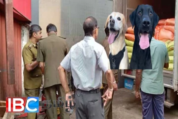 நாய்களுடன் விற்பனைக்கு கொண்டு செல்லப்பட்ட அரிசி கைப்பற்றப்பட்டது