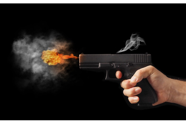துப்பாக்கிச்சூட்டில் உயிரிழந்த ஐந்தறிவு ஜீவன் | Intarivu Jeevan Who Died In Gunshot