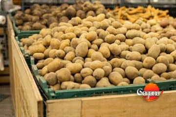 රජයෙන් ගොවීන්ට සහනයක් - උඩරට අර්තාපල් කිලෝවට රුපියල් 210ක්