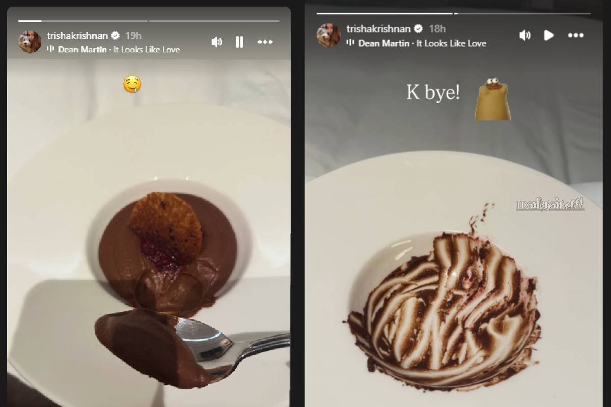 சர்சைகளுக்கு நடுவில் காதல் பற்றிய த்ரிஷாவின் புதிய பதிவு : என்ன இப்படி சொல்லிட்டாங்க! | Trisha Reaction On Vijay Divorce Controversy Viral