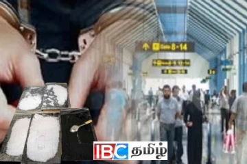 கட்டுநாயக்காவில் வந்திறங்கிய இந்திய பிரஜை கைது