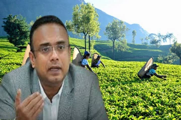 பெருந்தோட்டத் தொழிலாளர்களின் சம்பளம் தொடர்பான உறுதிசெய்யப்பட்டுள்ள அறிவித்தல்