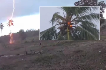 முல்லைத்தீவில் பல பகுதிகளில் கடுமையான மின்னல் தாக்குதல் - தீப்பற்றி எரிந்த தென்னைமரம்