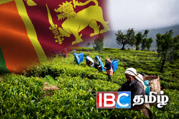 மலையக தமிழர்களின் சனத்தொகையில் வீழ்ச்சி!