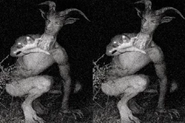 ஆட்டுத் தலையுடன் மனித உருவம்; பீதியில் மக்கள் - தமிழக அரசு விளக்கம்