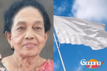 මාලනී සමග ඇයත් යන්නම ගියා...තවත් කලාකාරිනියක් අභාවයට