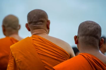 வவுனியாவில் பௌத்ததுறவிக்கு சிலை ; மாநகரசபையில் கோரிக்கை