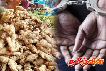பாரியளவு தொகை உலர்ந்த இஞ்சியுடன் நபரொருவர் கைது