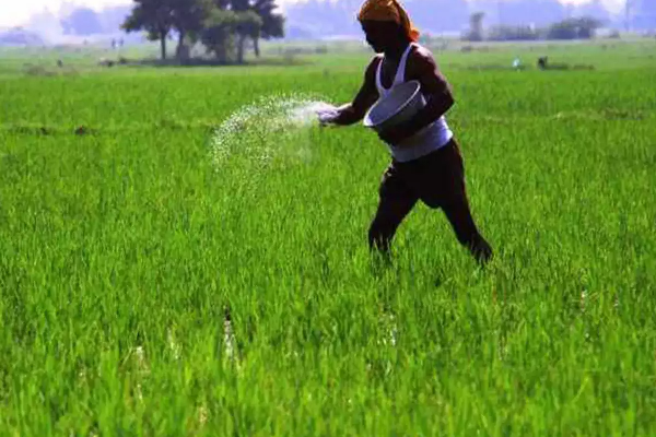 நாளை முதல் 1000 ரூபா விலை குறையும்; அமைச்சர் வெளியிட்ட தகவல்! | 1000 Rupees Price Drop From Tomorrow