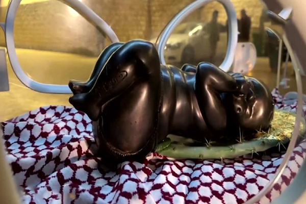 இன்குபேட்டரில் வைக்கப்பட்ட இயேசு பிரான் | Jesus Is A Frog In An Incubator