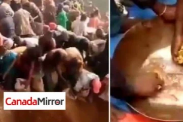 மலை நிறைய தங்க கட்டிகள்; அள்ளிச்செல்லும் மக்கள்; வைரல் காணொளி