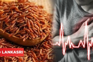 சிவப்பு கவுனி அரிசியைப் பற்றி கேள்விப்பட்டதுண்டா? பல ஆரோக்கிய நன்மைகள் உள்ளதாம்!