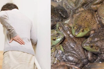 முதுகுவலி சரியாகனும்; 8 தவளைகளை உயிரோடு விழுங்கிய பாட்டி - ஷாக் பின்னணி!