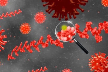 என்னது மறுபடியுமா  : தென்ஆப்பிரிக்காவில் 2 புதிய வகை ஒமைக்ரான் வைரஸ்கள் கண்டுபிடிப்பு