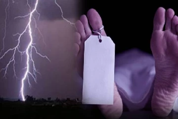 யாழில்   குடும்பஸ்தருக்கு எமனான மின்சாரம்