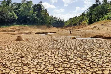 කාලගුණය උඩු යටිකුරු වෙයි - දැඩි උණුසුමෙන් පුද්ගලයින් 68,041 දෙනෙකු පීඩාවට