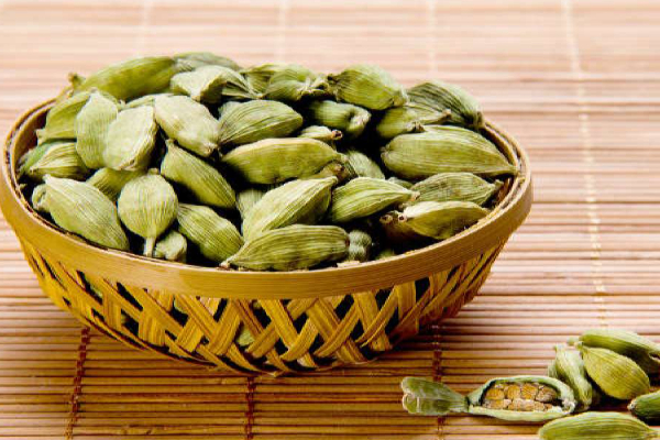 பெண்களிடம் இந்த குணம் இருந்தால் குடும்பத்துக்கு ஆகாதாம்! | If Women Have This Quality Good For The Family