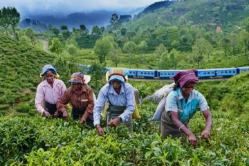 மூடப்படும் அபாயத்தில் முக்கிய  தொழிற்சாலைகள்!