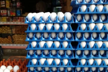 முட்டை விலை - இந்தவார இறுதிக்குள் எடுக்கப்படவுள்ள தீர்மானம்