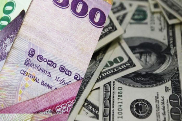 இலங்கையில் டொலர் ஒன்றின் இன்றைய பெறுமதி!! மத்திய வாங்கி வெளியிட்ட அறிவித்தல் - ஐபிசி தமிழ்