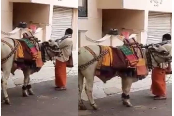 தெருவில் சென்ற பூம்பூம் மாட்டுக்காரருக்கு அடித்த அதிர்ஷ்டம்!