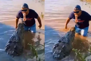 வாயில் உணவை வைத்துக் கொண்டு முதலையை இப்படியா சீண்டுவது? நபரை தெறிக்க விட்ட காட்சி