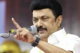 சென்னையில் 16 தொகுதிகளிலும் தவெக முன்னிலை- முதலமைச்சர் ஸ்டாலின் பின்னடைவு