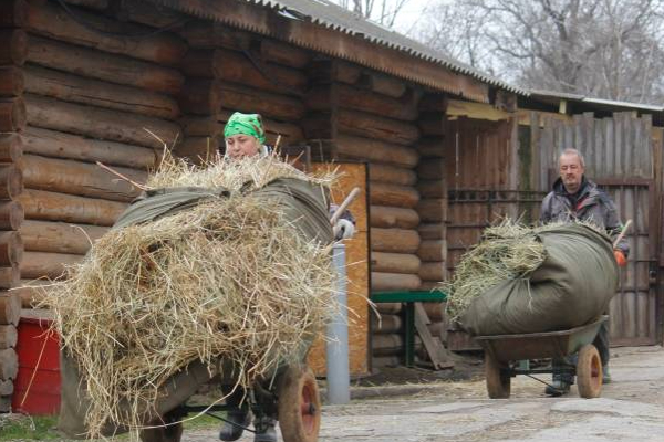 உக்ரைன் மிருகக்காட்சிசாலையில் 4000 விலங்களுடன் வசித்து வரும் பணியாளர்கள்! | Russian Army Attack War Ukraine Zoo Staff