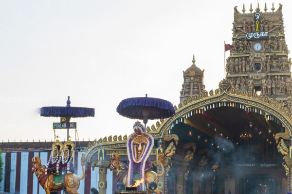 நல்லூர் கந்தசுவாமி ஆலய மகோற்சவ எட்டாம் திருவிழா | Festival Of The Nallur Kandaswamy Temple