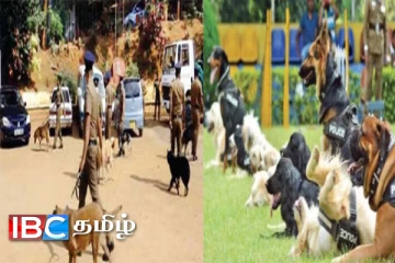 ஏலத்திற்கு வருகின்றன காவல்துறை நாய்கள்