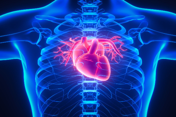 வாழ்நாள் முழுவதும் இதயநோய்க்கு குட்பை சொல்லனுமா? இதை மட்டும் செய்தாலே போதும் | Life Long Heart Disease Help Curry Leaves Benefits