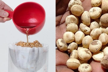 ජලය පිරිසිදු කරන Natural Filter එක.